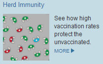 herd immunity animated